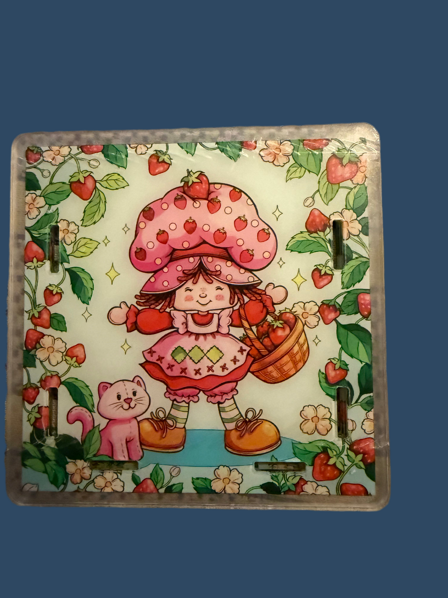 Strawberry Shortcake with Kitty