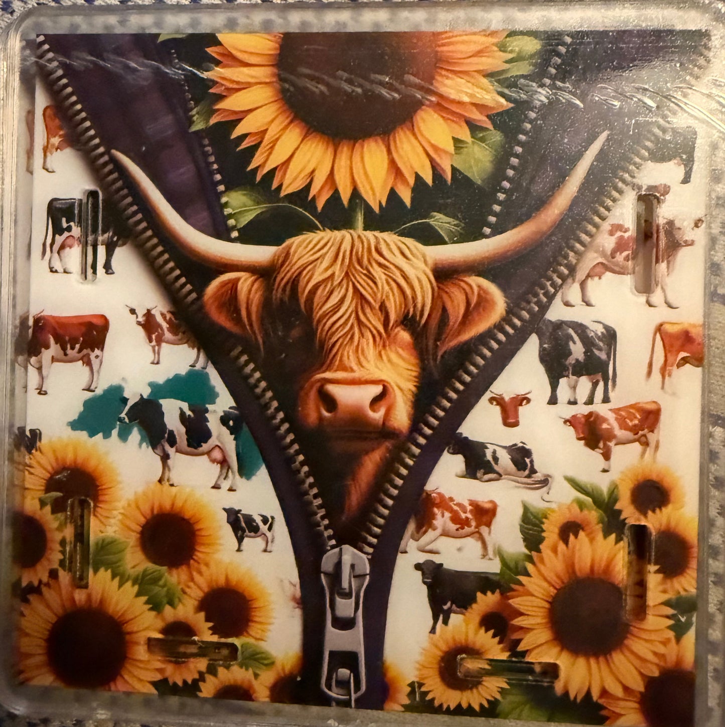 Multiple cows with Sunflowers