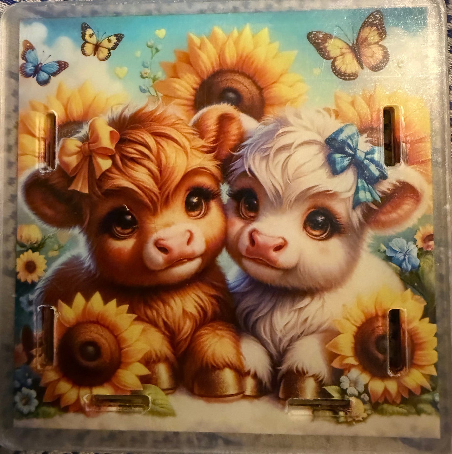 Cows & Sunflowers